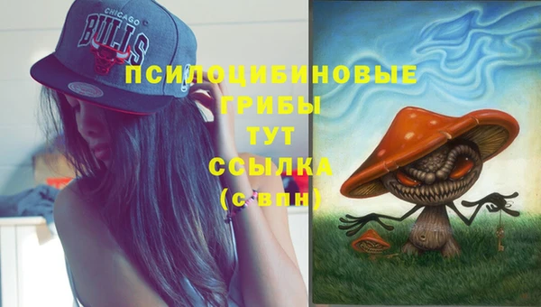 крисы Арсеньев