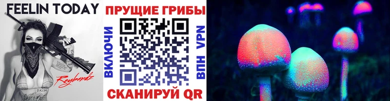 где купить наркоту  Калачинск  Псилоцибиновые грибы Magic Shrooms 